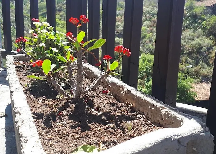 Casa Tia Rosa. Дом отдыха *