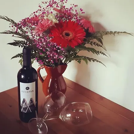 Casa Tia Rosa. 펜션