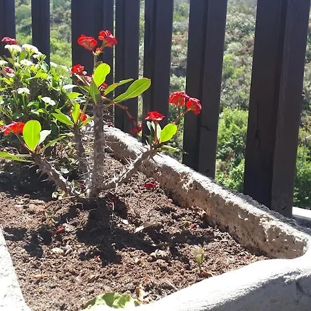 Casa Tia Rosa. בית נופש *